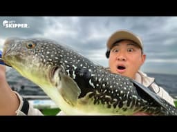 Catching & Eating DEADLY Pufferfish | Fugu | Fishing in Japan (part 2)