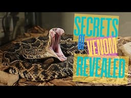 The Shocking Truth About Snake Venom I WISH I Knew Sooner