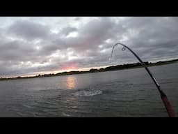 Nor'easter Mullet Run - Topwater Stripers Tight to Shore