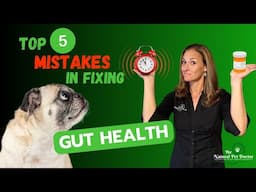 Avoid These 5 Mistakes When Boosting Your Pet's Gut Health Naturally!