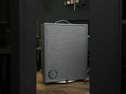 Did This Bass Amp Just Replace My Pedalboard? #travisdykes #bass #darkglass