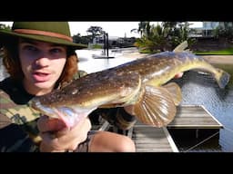 Fishing For RIVER MONSTERS Overnight Jetty Challenge! (Shark/Flathead/Trevally)