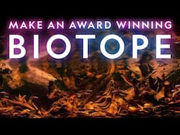 How I Created the Top-Ranked Biotope in the World