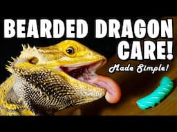 Bearded Dragon Care Made Simple!