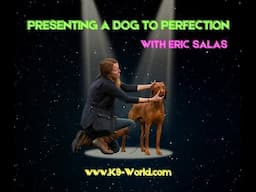 Presenting a Dog to Perfection - with Eric Salas