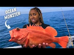 FISHING For OCEAN MONSTERS: CATCH, CLEAN, COOK