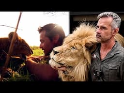 LION CUBS to COMPANIONS with Kevin Richardson | The Lion Whisperer