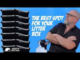 What's the Best Place for Your Cat's Litter Boxes?