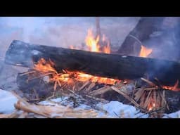 Woodlore Winter Bushcraft in the Northern Forest with Ray Mears