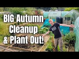 Clearing The Allotment For Winter | Planting Cabbages, Broccoli, & Garlic | Gardening For Beginners