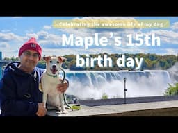 My Dog's 15th Birthday! [Maple sees the Falls and eats cake]