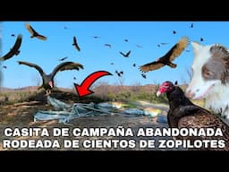 Lo Que Encontramos En El Río