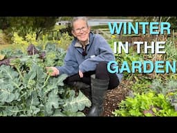 My Permaculture Vegetable Garden in Winter