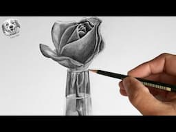 How to draw a realistic Rose in pencil Step by Step