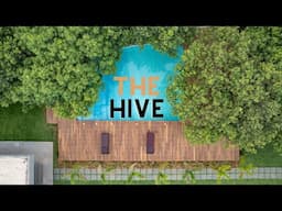 THE HIVE | A GETWAY FROM THE BUSY CITY LIFE