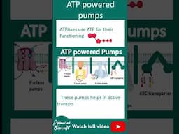 Types of ATP powered pumps | ATPases explained in 1 minute