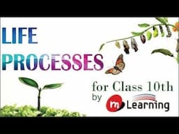 Life Processes: Excretion - Waste Products in Animals - 15 For Class 10th and NTSE