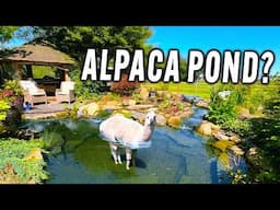 BIG Pond with View and Alpacas