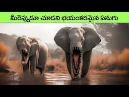 Deadly Animals You’ll Be Glad To Know Are Extinct | extinct animals | facts in telugu | interesting