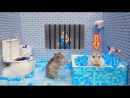 Hamster Prison Maze Adventures🛑Live Stream