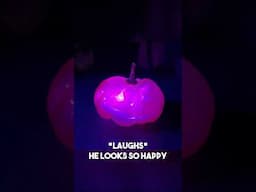 GRAPE-O-LANTERN    #halloween #pumpkin #grape #grapeolantern #grumpkin #spooky