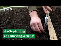 Grow your own garlic: Planting and choosing varieties  | The RHS