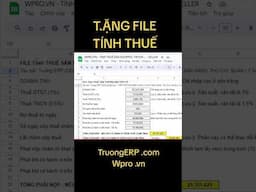 Tặng File tính thuế Sàn thương mại điện tử: Shopee, Tiktok, Lazada #excel #wpro #thue