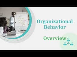 Organizational Behavior Overview | the 3 OB Levels