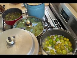 TAMALES ESTILO CD  DE MÉXICO PASO TRES, RELLENOS PARA TAMALES