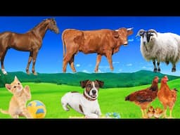 Farm Animal Sounds: Cow, Horse, Dog, Cat, Chicken - Animal Sounds