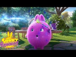 MAGIC SPOON - SUNNY BUNNIES | NEW SEASON 7 MARATHON | WildBrain Zoo | Cartoons for Kids