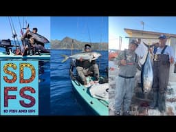 Epic Yellowfin Tuna & Yellowtail Fishing | Bahia Asuncion Baja California Sur Mexico | November 2024