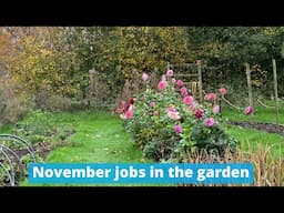 November gardening jobs at Common Farm Flowers