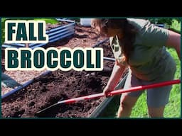 Broccoli | Fall Garden Planning And Planting