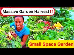 I Grow a MASSIVE Garden in Small Spaces! (Throwback)