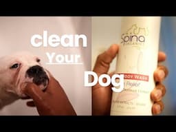 Day in the Life: Training, Dirty Dogs, & Living!!! The Best Dog Shampoo!!!