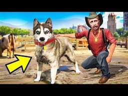 Esse é o NOVO CACHORRO DA FAZENDA 😍 (GTA RP)