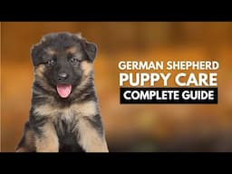 German Shepherd Puppy Care: A Complete Guide for New Owners