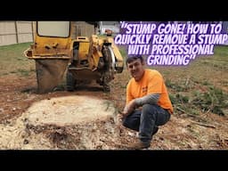 "Stump Gone! How to Quickly Remove a Stump with Professional Grinding"