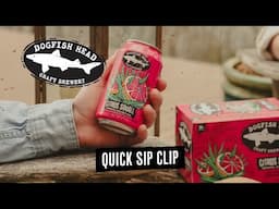 Dogfish Head Quick Sip Clip: Citrus Squall