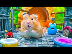 Hamster Epic Journey  🌄  Escaping the Cave Maze  🐹  Mini Danisa