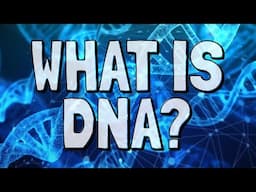 What Is DNA?