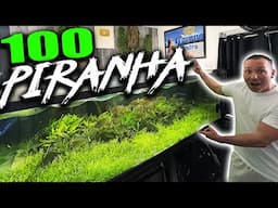 100 PIRANHA IN MY MONSTER AQUARIUM!? THE KING OF DIY