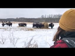 A DAY IN THE LIFE || Winter Farming in Canada