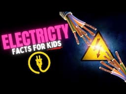 What is Electricity? [Facts for Kids]