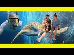 Diving fabulous BUNAKEN Island. (Turtles galore) (Ep 278)