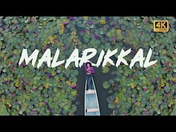 MALARIKKAL Blooming !! | Malarikkal Kottayam Water Lilly  | Best Time To Visit Malarikkal Kottayam