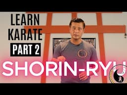 Martial Arts Tutorial | Shorin Ryu | Part 2 (Combination Drills)