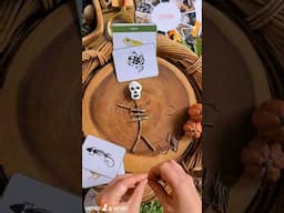 Get outside and grab some natural materials to make a skeleton with your kids.  #halloweenactivity