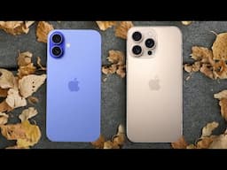 Apple iPhone 16 Plus vs Apple iPhone 16 Pro Max: Which Should You Buy?